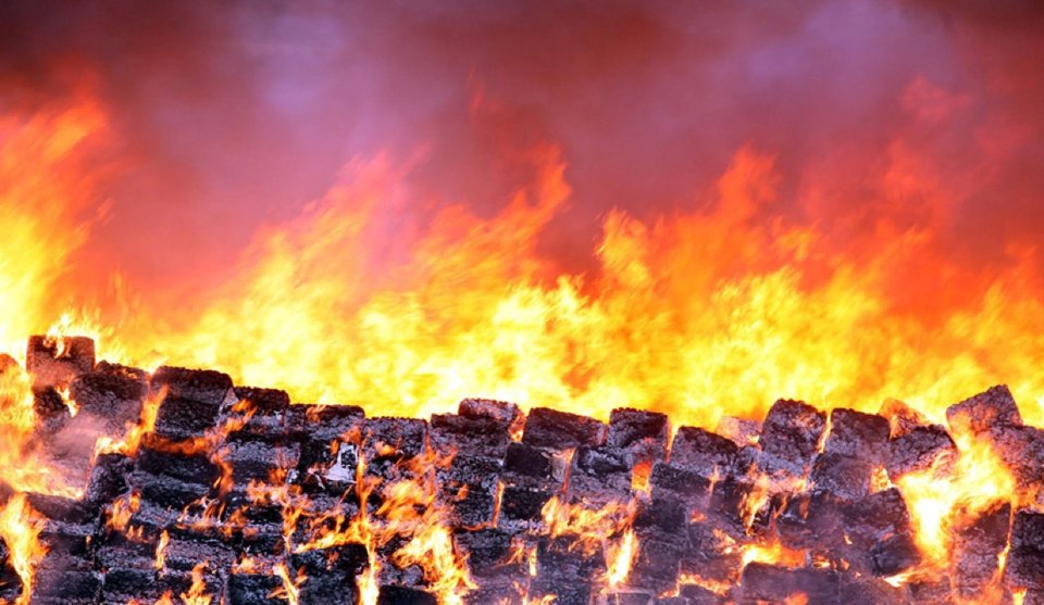 Сожжение 134 тонн марихуаны в Тихуане (фото)