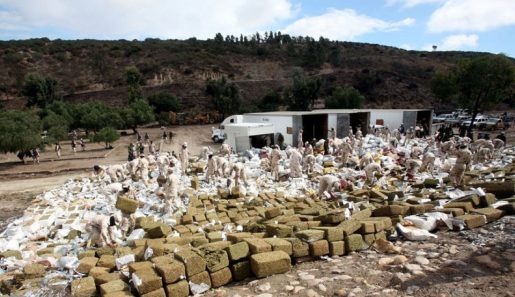 weed, 420, pot, hemp, травка, марихуана, конопля,