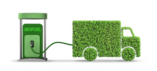 биотопливо, растительное топливо из конопли,