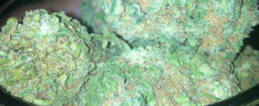 weed, cannabis, pot, hemp, marijuana,