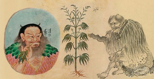 weed, cannabis, mj, ancient china,