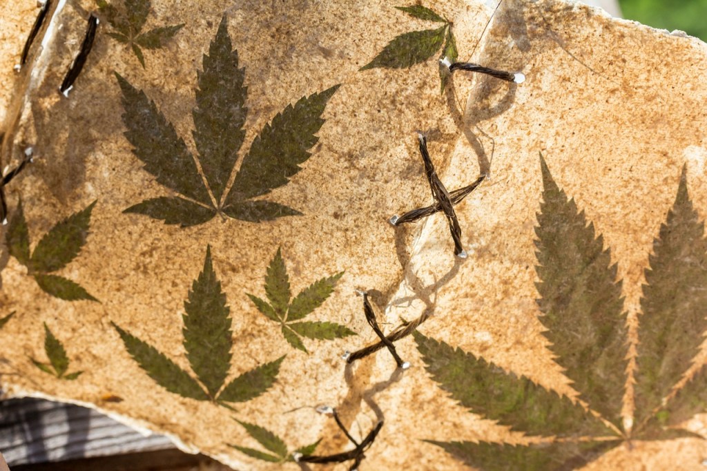 ancient cannabis, cannabis, weed, pot, hemp, 