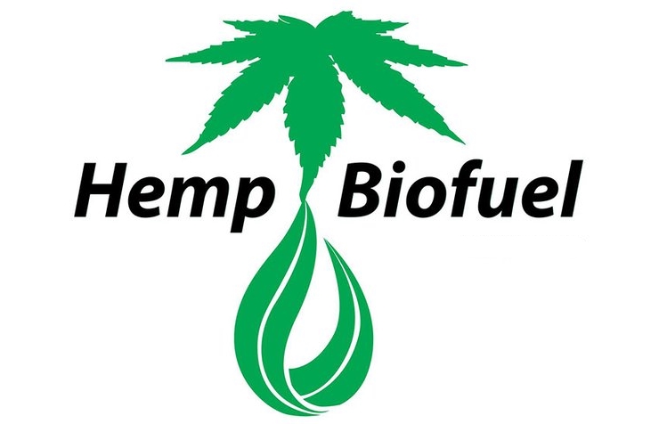 конопля для биотоплива