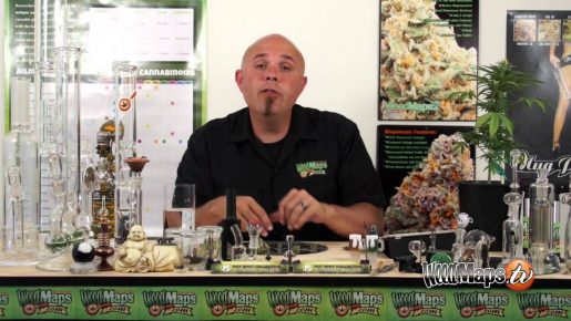 cannabis cup, los angeles, california, medical marijuana,