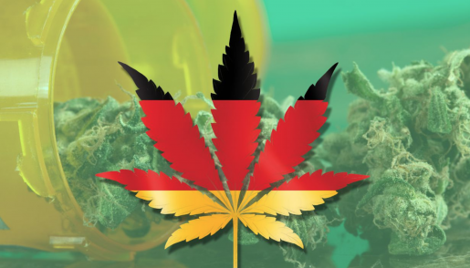 cannabis, world legalization, germany, quiz,