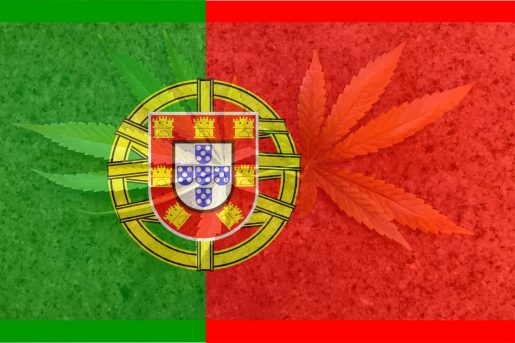 cannabis,portugal,eu,