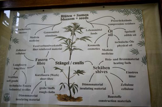 cannabis, museum, berlin, weed, hemp, oil, thc, cbd, seeds,