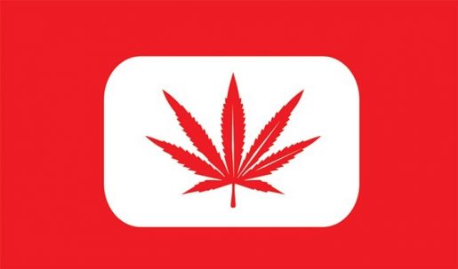 cannabis, weed, videos, bob marley, illness,