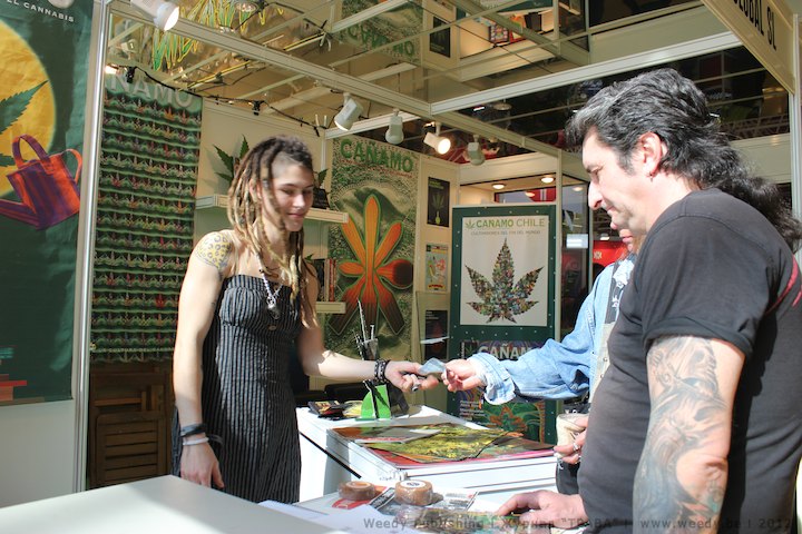 выращивание марихуаны, выставка конопли, производство из конопли,