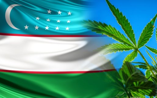 марихуана, конопля, Узбекистан,