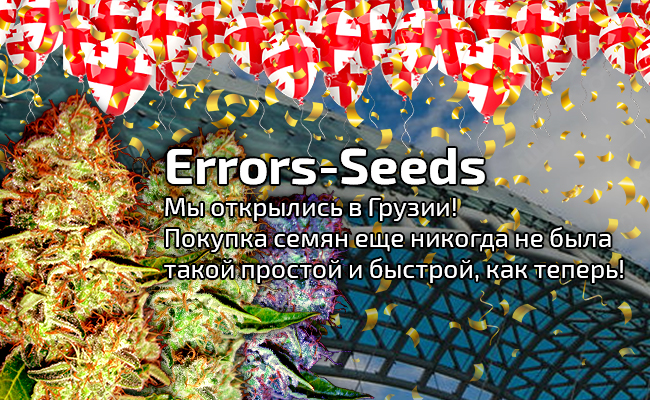Открытие магазина Errors Seeds в Грузии !