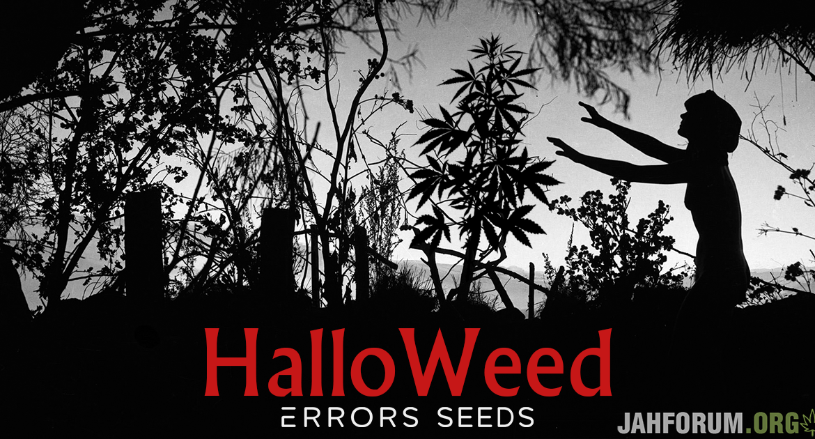 Фото-конкурс «HalloWeed 2018»