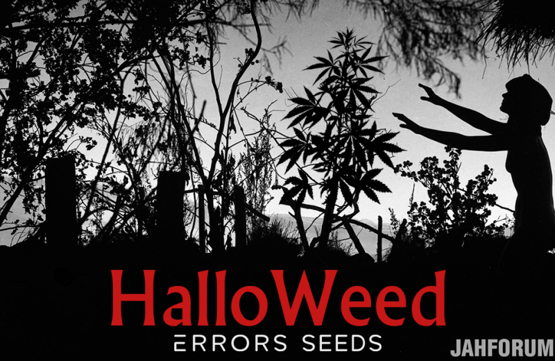 Фото-конкурс «HalloWeed 2018»