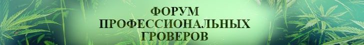 Интернет магазин семян конопли в Украине