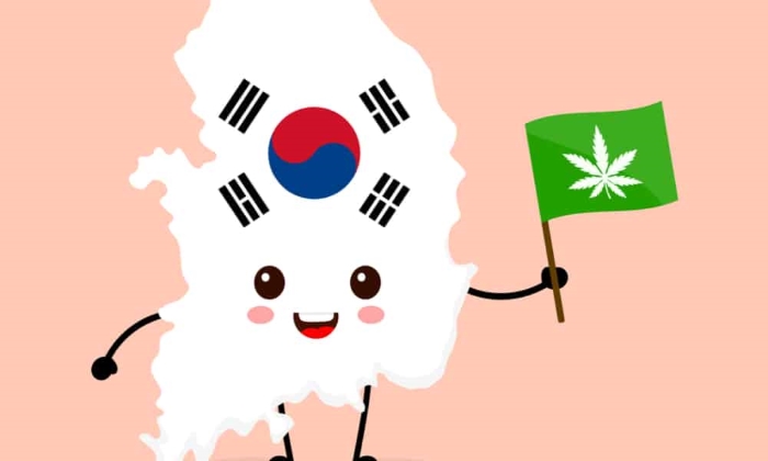 Южная Корея легализует медицинский каннабис