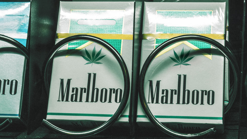 Мальборо сигареты с коноплей выращиваем марихуану домашних условиях
