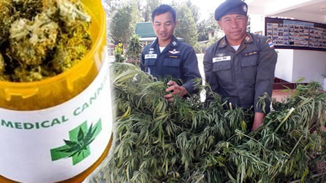legal, thailand, government, drugs, law ministry, health