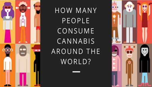 потребители марихуаны, статистические данные, информация для размышления, статистика марихуаны,
