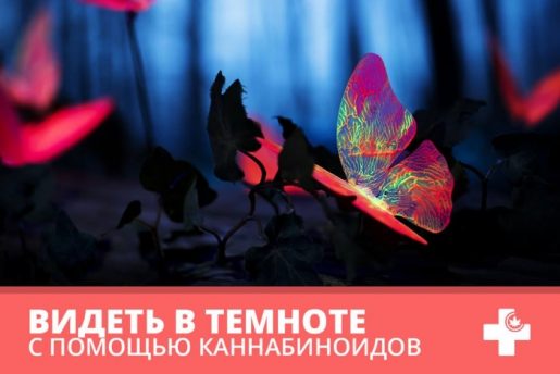 медицинская марихуана, влияние марихуаны на организм человека, эффект от марихуаны,