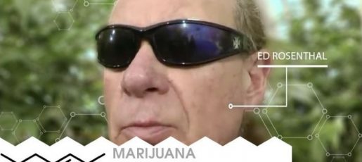 Ask Ed, high times, ed rosenthal, эд розенталь, гуру каннабиса, гуру ганжи, гуру конопли, гуру марихуаны, библия гровера, Marijuana Growers Guide, Cannabis Culture, magazine, zine, каннабис, марихуана, конопля, ганжа, ganja, выращивание марихуаны, гровинг,