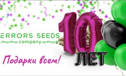 10 лет! Продолжаем работать и растить вашу мечту!