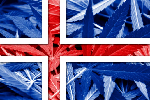 reykjavík, weed, stoners, marijuana, mj, 420, cannabis, smoking weed, joint,