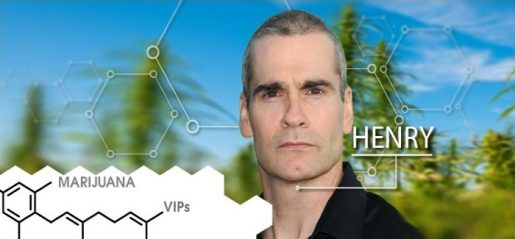 знаменитости о каннабисе