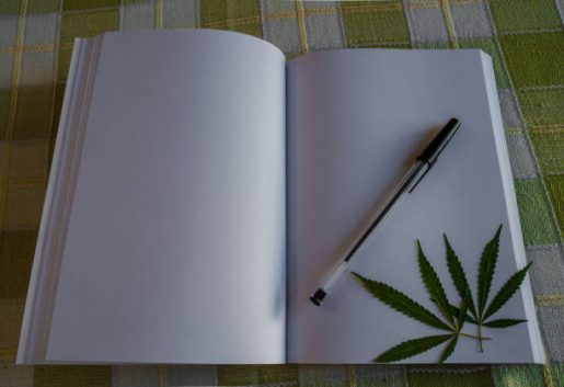 Cannabis College Amsterdam