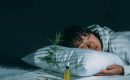 Как каннабис влияет на сон?