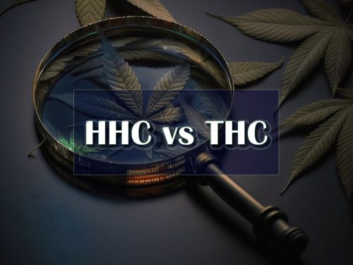 Чем HHC отличается от ТГК?