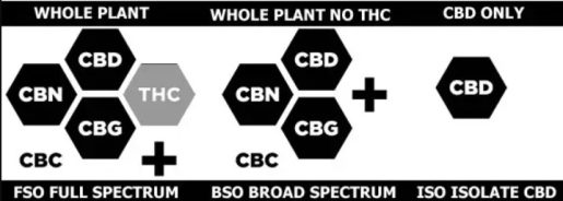 Разновидности CBD-продуктов: полный и изолированный спектр