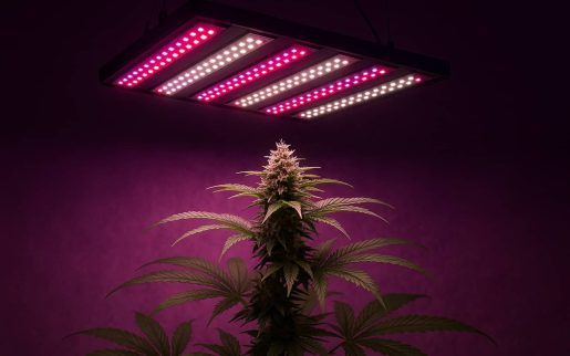 LED-лампы и их преимущества